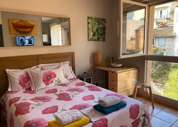 Meuble Tourisme Carmes 2 Etoiles, Entree Autonome,Wifi, Climatise, Petit Parking Prive