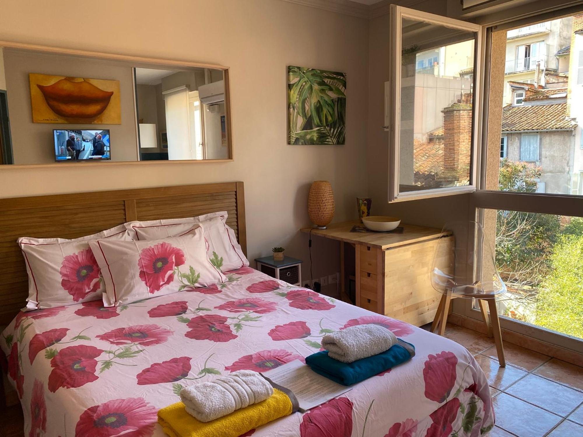 Meuble Tourisme Carmes 2 Etoiles, Entree Autonome,wifi, Climatise, Petit Parking Prive Apartment *