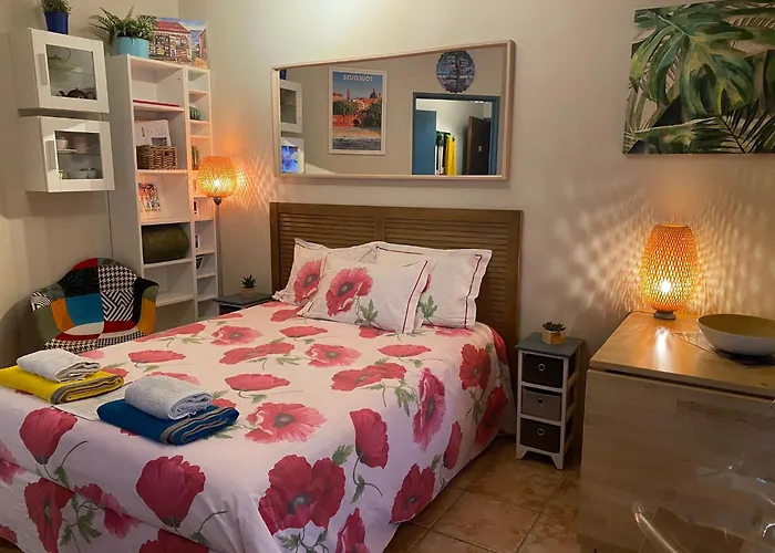 Meuble Tourisme Carmes 2 Etoiles, Entree Autonome,Wifi, Climatise, Petit Parking Prive