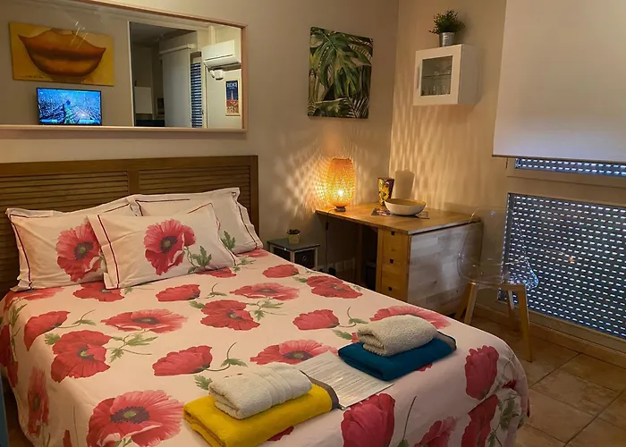 Meuble Tourisme Carmes 2 Etoiles, Entree Autonome,Wifi, Climatise, Petit Parking Prive