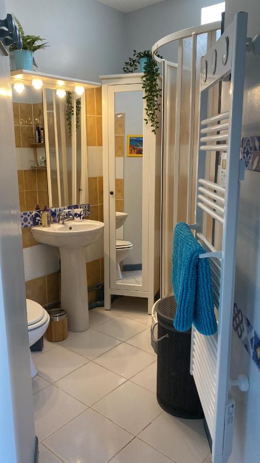 Meuble Tourisme Carmes 2 Etoiles, Entree Autonome,wifi, Climatise, Petit Parking Prive