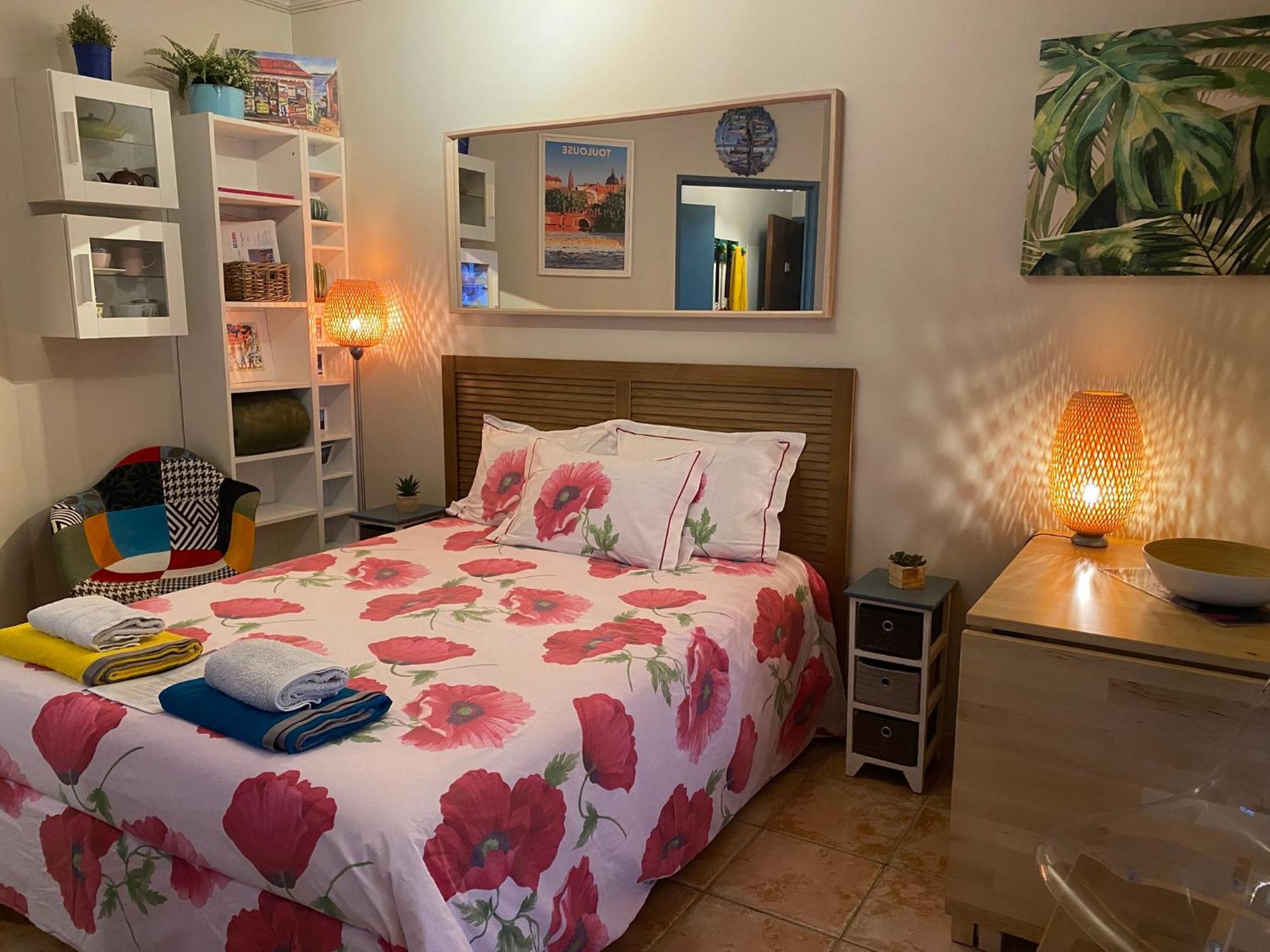 Meuble Tourisme Carmes 2 Etoiles, Entree Autonome,wifi, Climatise, Petit Parking Prive Toulouse